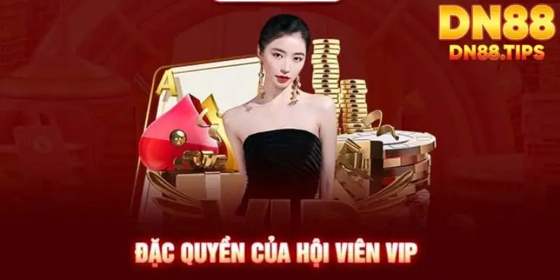 Điều Kiện Và Quy Định Của Các Khuyến Mãi